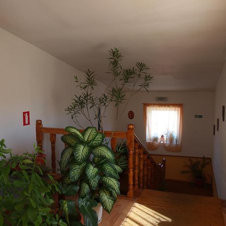 Vila Veche Haţeg Dış mekan fotoğraf